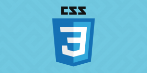 css3