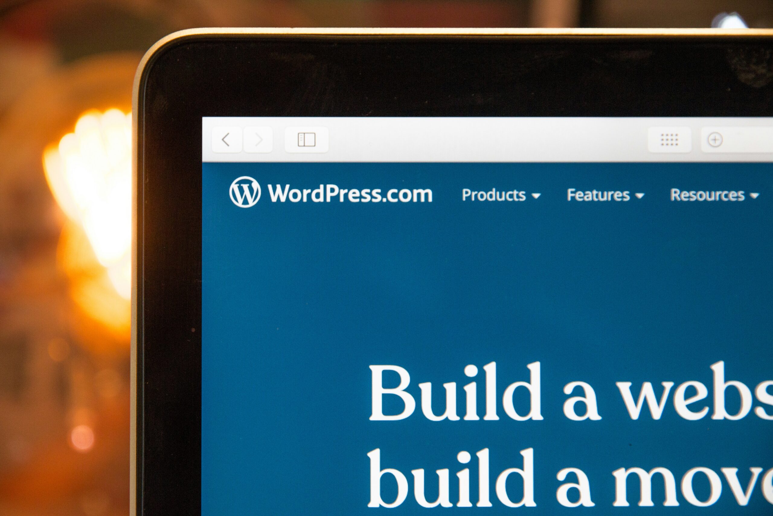 Auto Updates in WordPress